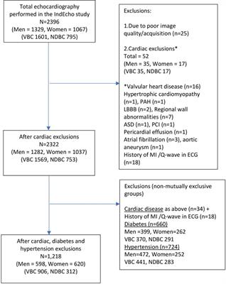 Echocardiography protocol and cardiometabolic phenotyping in Indian birth cohorts—the IndEcho study